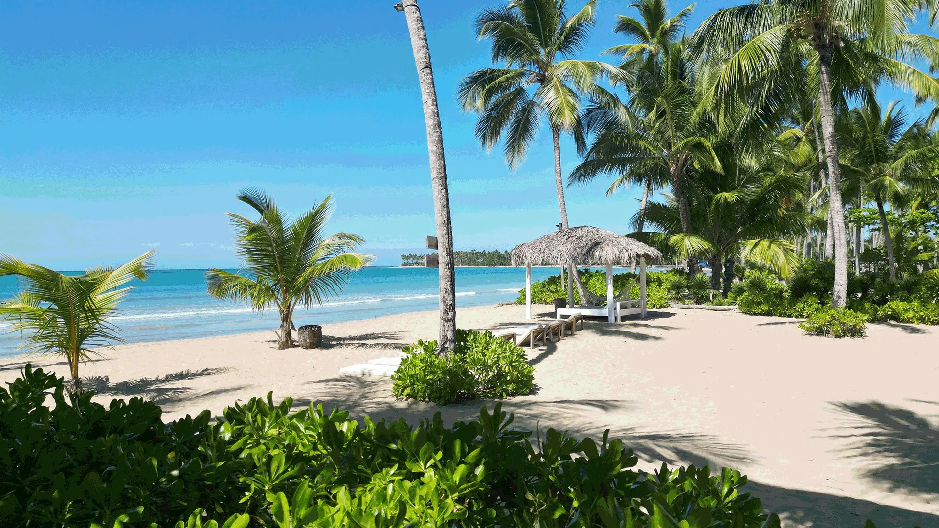 Palmeras, tumbonas y una cabaña de playa en Playa Cosón