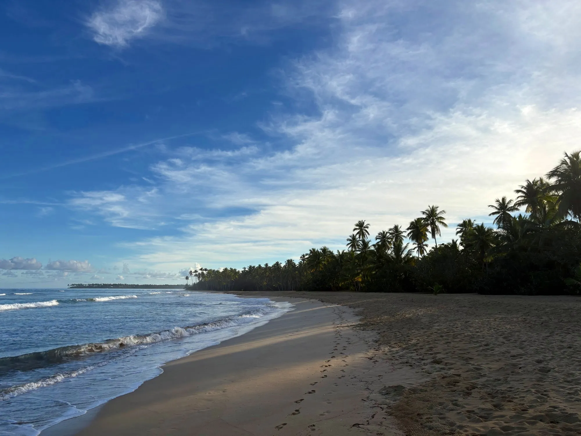 Mañana en la playa: huellas y palmeras